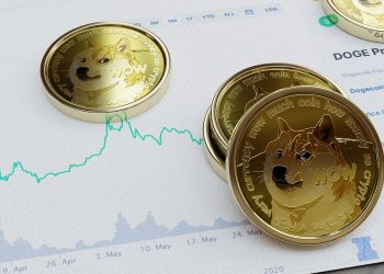 Investing in Meme Coins: Are They Pure Gamble or Genuine Opportunity?