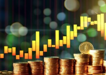 Does Transparency Really Drive Cryptocurrency Success? The Data Disclosure Revolution